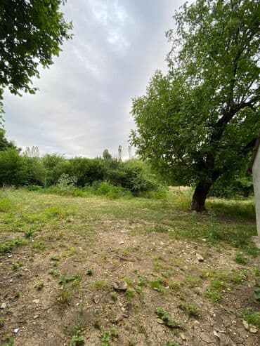 memar ecemi kiraye ev: Tikinti, Mülkiyyətçi — 4