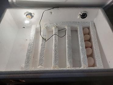 mini evler: Ev tipli inkubator – köpük (penoplast) korpuslu, elektriklə işləyən — 2