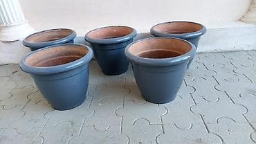 lladro baku: Dibçəklər. bir ədədi 15 manat. 8 ədəddir. Əla vəziyyətdədir — 7