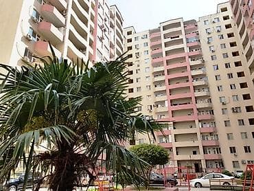cılcıraq mağazaları: Təcili: Tbilisi dairəsi ilə Həsən Əliyev küçəsinin kəsişməsində 100 — 3