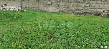 zaqatala bakı: Tikinti — 7