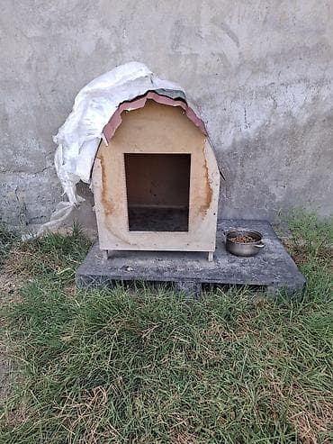 it paltar: Taxta it evi - Material: kontrplak/taxta gövdə, üstü dalğalı metal — 1