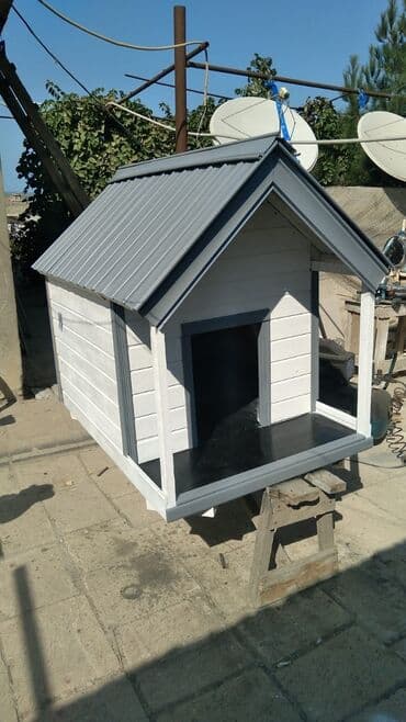 İt yuvası. izolyasiya olunub. eni 90 sm uzunu 1 metr 30 sm di lalafo.az -da İt yuvası. izolyasiya olunub. eni 90 sm uzunu 1 metr 30 sm di