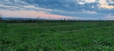 kiraye hovuzlu evler: 200 sot, Kənd təsərrüfatı — 3