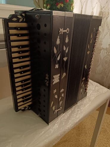 Спорт и отдых: Акустический Аккордеон — 1