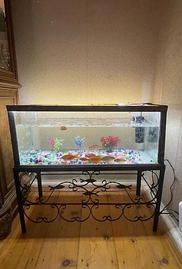 Salam akvarium satılır havalandırma matoru var tecili satılır deye bu — 1