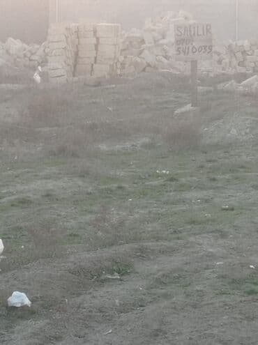 Opel: 10 соток, Купчая — 3