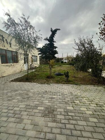 bilgəhdə torpaq: 130 sot, Makler, Kupça (Çıxarış) — 5