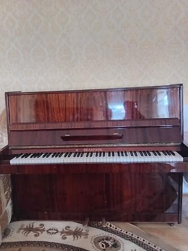 Piano, Belarus, Akustik