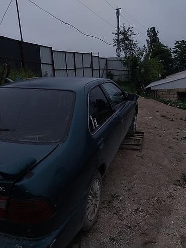 motoblok satışı: Nissan Sunny sedan - Kuzov: sedan, tünd yaşıl rəng - Mühərrik: benzin — 5