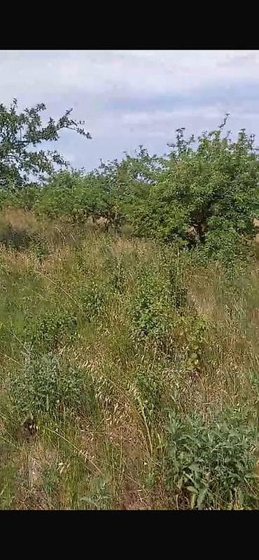 bolt hansi masinlari qebul edir: 150 sot, Biznes üçün, Barter mümkündür, Kupça (Çıxarış) — 5