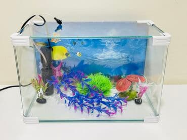 100 l akvarium: Akvarium dekorlari ile Filter ile sekilde olan hersey ile birlikde — 4