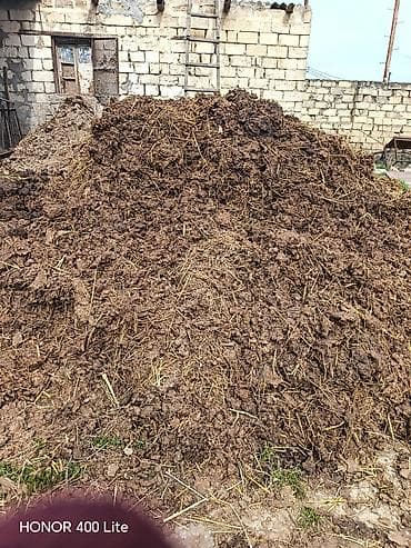 Təbii üzvi gübrə – mal peyini Məhsul təsviri: - Heyvandarlıq — 8