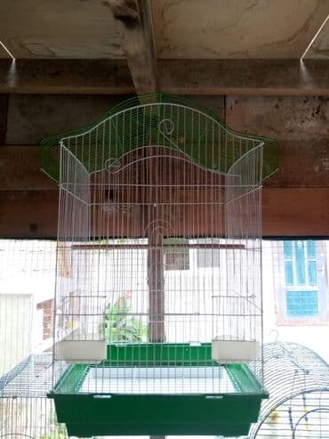 quş qəfəsi: Korella qefesi jako kletkasi qus qefesi 40 Azn — 5