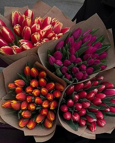 Ağaclar: 🌷 Tülpan Buketləri 🌷 Beynəlxalq Qadınlar Günü münasibətilə təzə və — 1