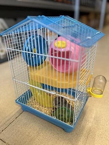 heyvanlar ucun mallar: Cunqarik üçün tam dəst qəfəs

Cunqarikler qefesle birlikde verilir — 3