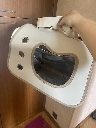 pisi: Britan, Erkək, Ünvandan götürmə, Pulsuz çatdırılma, Ödənişli çatdırılma — 6