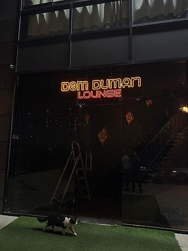 “Dəm Duman” üçün iri ölçülü reklam və fasad həlli təqdim olunur — 3