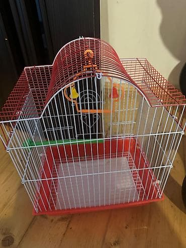 Quş qəfəsi – dekorativ və praktik model - Material: metal