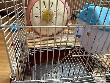 Heyvanlar üçün mallar: Hamster üçün tam dəst 2 mərtəbə qəfəs - Metall karkaslı, çıxarılan — 4