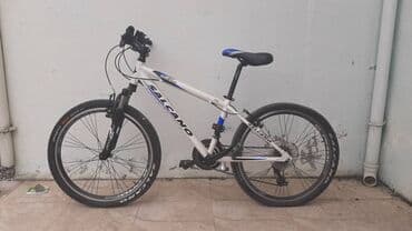 mingecevir velosiped: Dağ velosipedi Salcano, 24" — 2