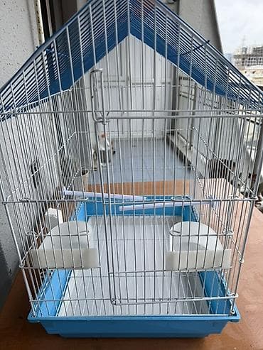 cat: Quş qəfəsi – dam formalı, geniş və praktik modeliri qəfəs,bir neçə — 2