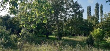 xacmazda 9 nöm mektebin yanında ev torpaq satqısı: 15 sot, Mülkiyyətçi — 4