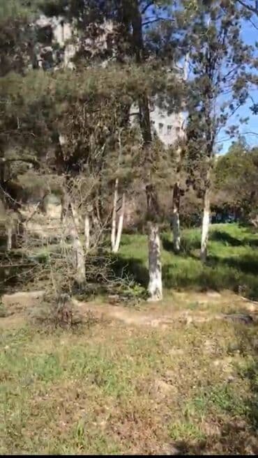 12 sot, Makler, Kupça (Çıxarış) lalafo.az -da 12 sot, Makler, Kupça (Çıxarış)