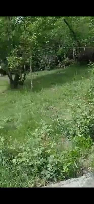 Bağ evləri: Qəbələ, 2000 kv. m, 15 otaq, Hovuzsuz — 7