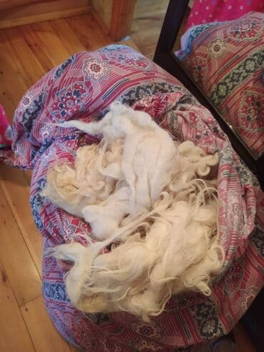 yun destler: Uzun yuyulmus yun(Yorgana, doseye ve herseye yariyan yun) Istifade — 7