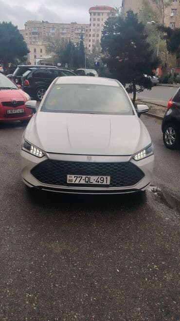 byd qin plus: BYD Qin Plus: 1.5 l | 2024 il 40000 km Sedan — 2