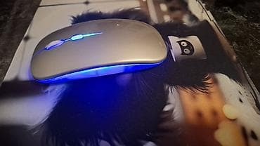 Ноутбуки: RGB işıqlı simsiz optik mouse 1 aydan çox zaryatka saxlayır. Səssiz — 4