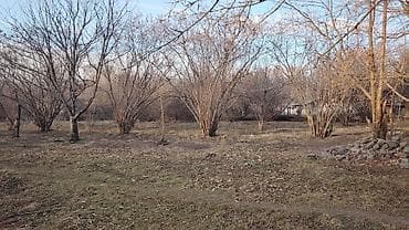 Аренда участков: Для сельского хозяйства — 7