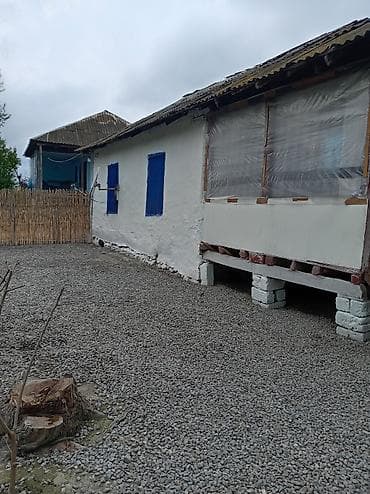 ikinci el barbi evi: Heyetde iki ev var 68sotdur baglari var qiymet 2000. Amma razilasma — 2