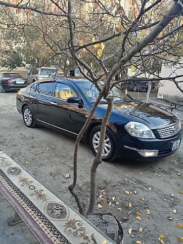 w210 oturacaq: Nissan Teana: 2.3 l | 2007 il Sedan — 10
