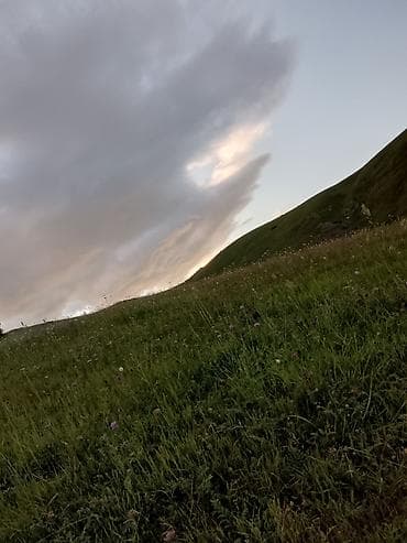 heyvan baxıcısı: Təsvir: - Təbii mənzərə ilə əhatələnmiş kənd həyəti və kiçik fermada — 3