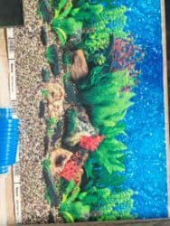 canlı yem: Şüşə akvarium komplekti - Ölçü: 45×20 sm (dikdörtgen forma, geniş ön — 5