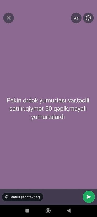 will kinder joy: Məhsul: Pekin ördəyi yumurtası - İnkişaf üçün mayalı (döllü) — 1