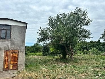 yasmada torpaq: Xacmaz rayonu Maqsud kend. findig bagi senetle 24 sot . artim olub 38 — 5