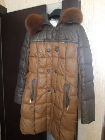 gödəkçə: Kurtkalar — 1