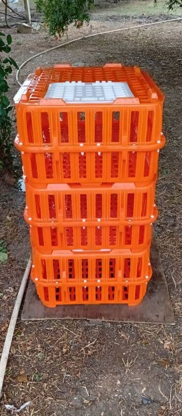 it satışı: Təcili satılır.6 ədədi 240manat — 6