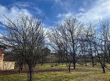 yasamalda kiraye evler ucuz: 8 sot, Tikinti, Mülkiyyətçi, Kupça (Çıxarış), Texniki pasport — 2