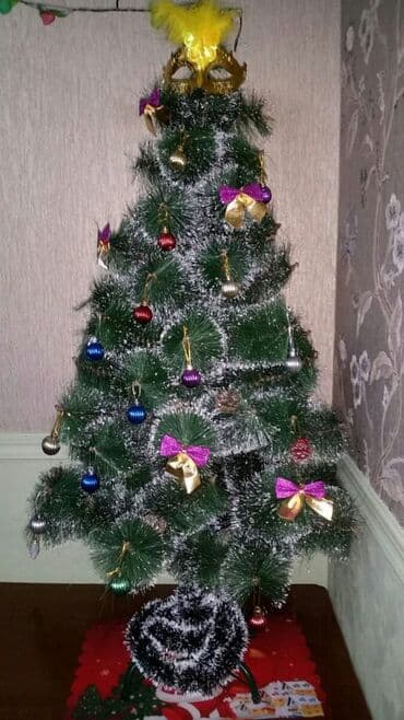Yeni il Ağacı
Şam ağacı
Vəziyəti yaxşıdı — 2