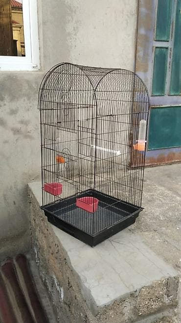 Quşlar: Dairəvi formada, qırmızı rəngli asma quş qəfəsi. Qəfəsin yuxarı — 1