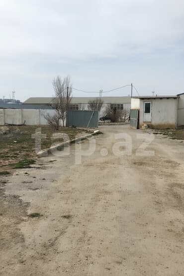 xacmaz dasinmaz emlak: 5000 sot, Biznes üçün, Mülkiyyətçi, Kupça (Çıxarış) — 1