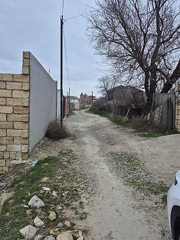 bulbulə torpaq: 2 sot, Kupça (Çıxarış) — 6