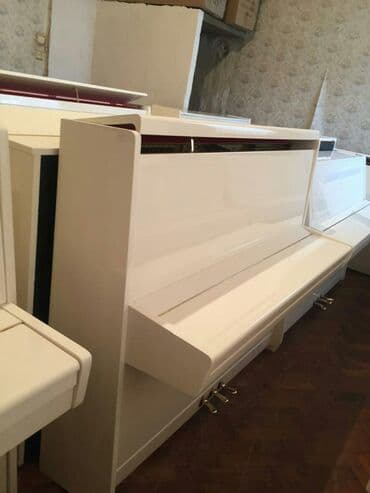 terlan elekberov: Pianino PETROF Cexya stehsalı. Ideal vəziyyədə. Cadırılma və köklənmə — 2