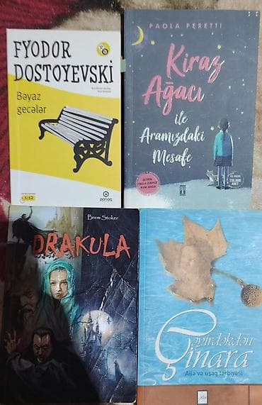 Satılır Hərbiri hansı kitabnan marağlanmağ istəyirsizsə — 4