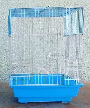 heyvan qoyun: Yeni qefes 10 manat — 1