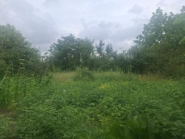 bulbulede heyet evleri 2025: 5 otaqlı, 120 kv. m, Kredit var, Yeni təmirli — 4